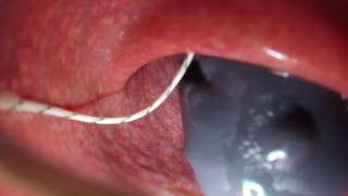 Internal View Bad Dragon Flint Cum and Pumps my Guts Full